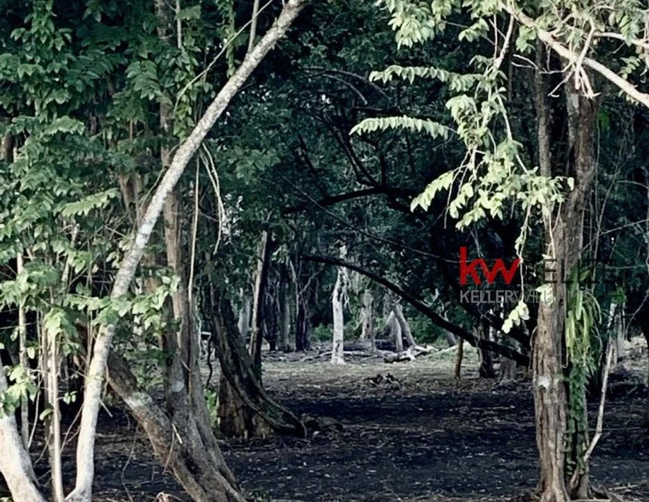 kellerwilliamsbelize-l232203bc-08