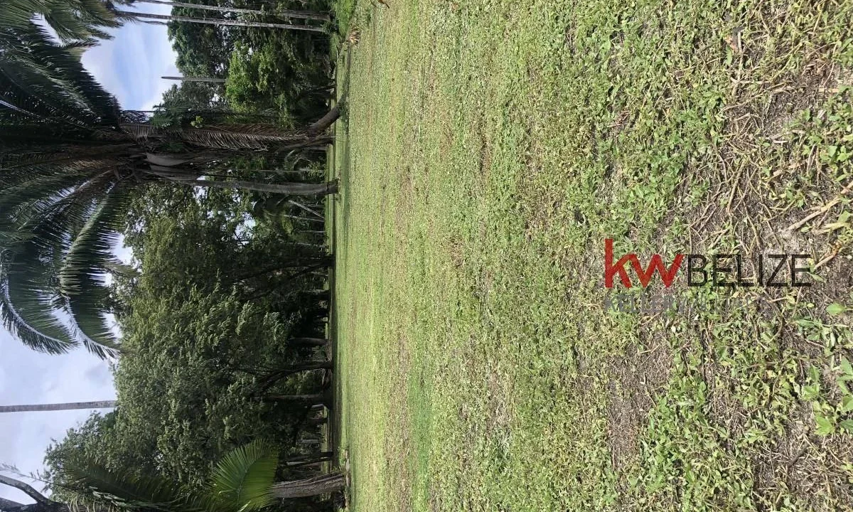 kellerwilliamsbelize-l232203bc-09