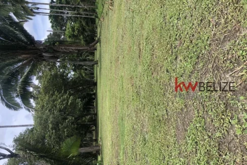 kellerwilliamsbelize-l232203bc-09