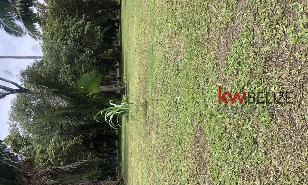 kellerwilliamsbelize-l232203bc-10