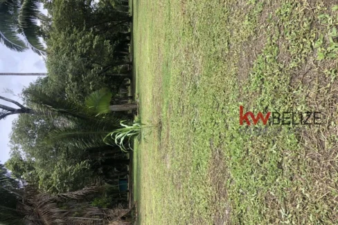 kellerwilliamsbelize-l232203bc-10