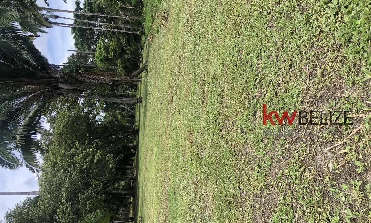 kellerwilliamsbelize-l232203bc-11