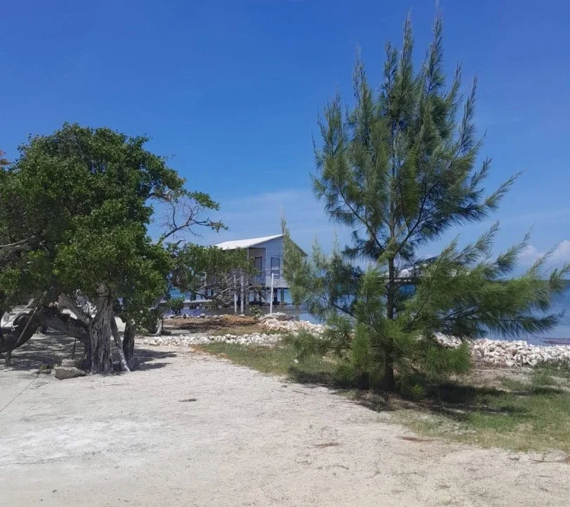 kellerwilliamsbelize-l232506br-19