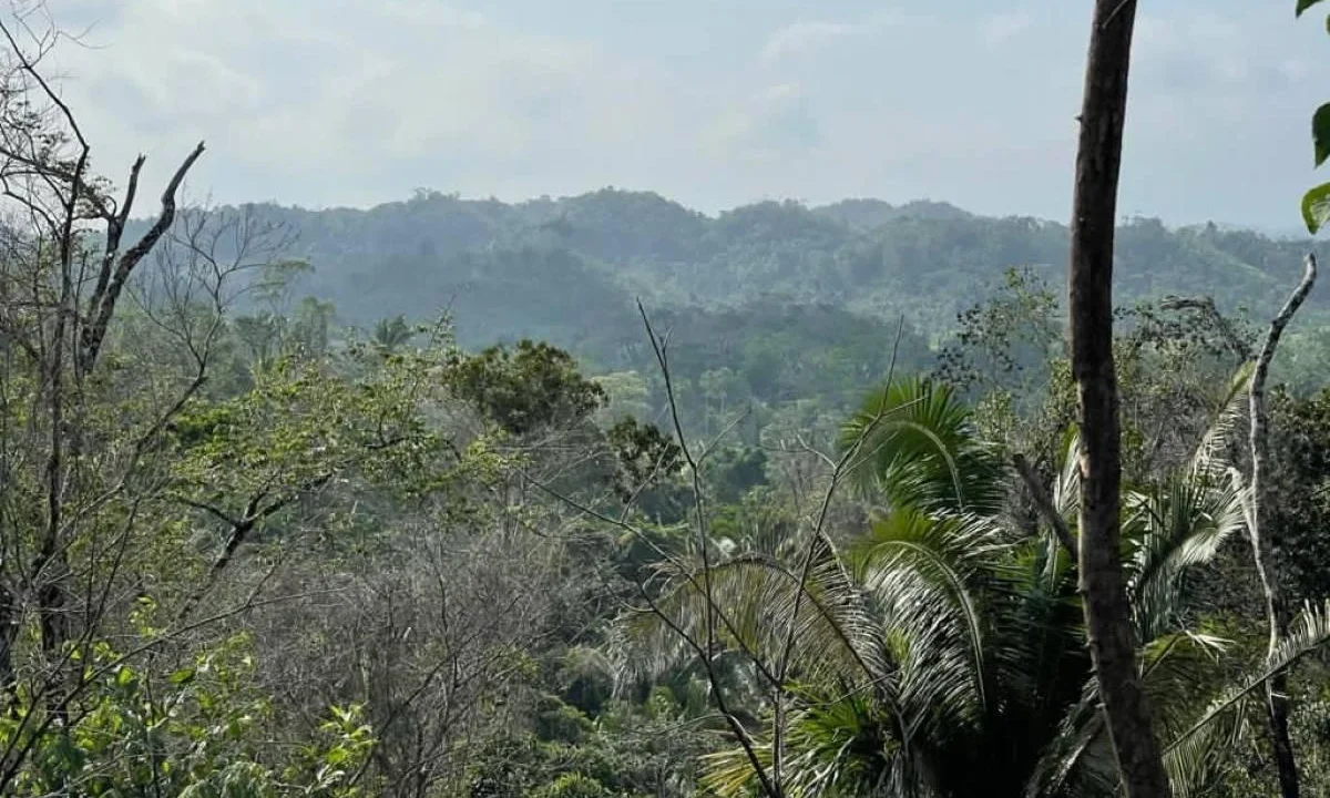 kellerwilliamsbelize-l242307hh-01