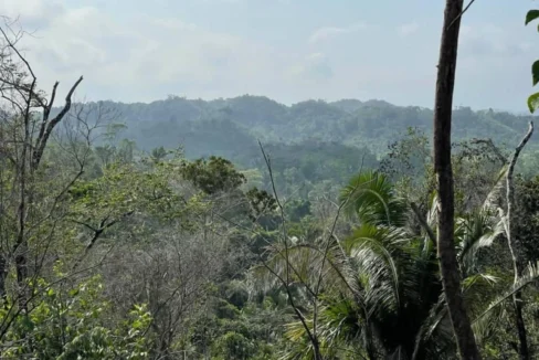 kellerwilliamsbelize-l242307hh-01