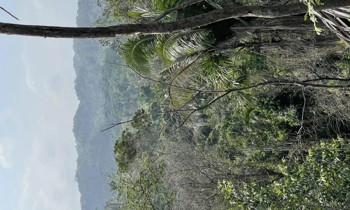 kellerwilliamsbelize-l242307hh-02