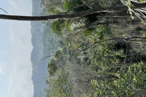 kellerwilliamsbelize-l242307hh-02