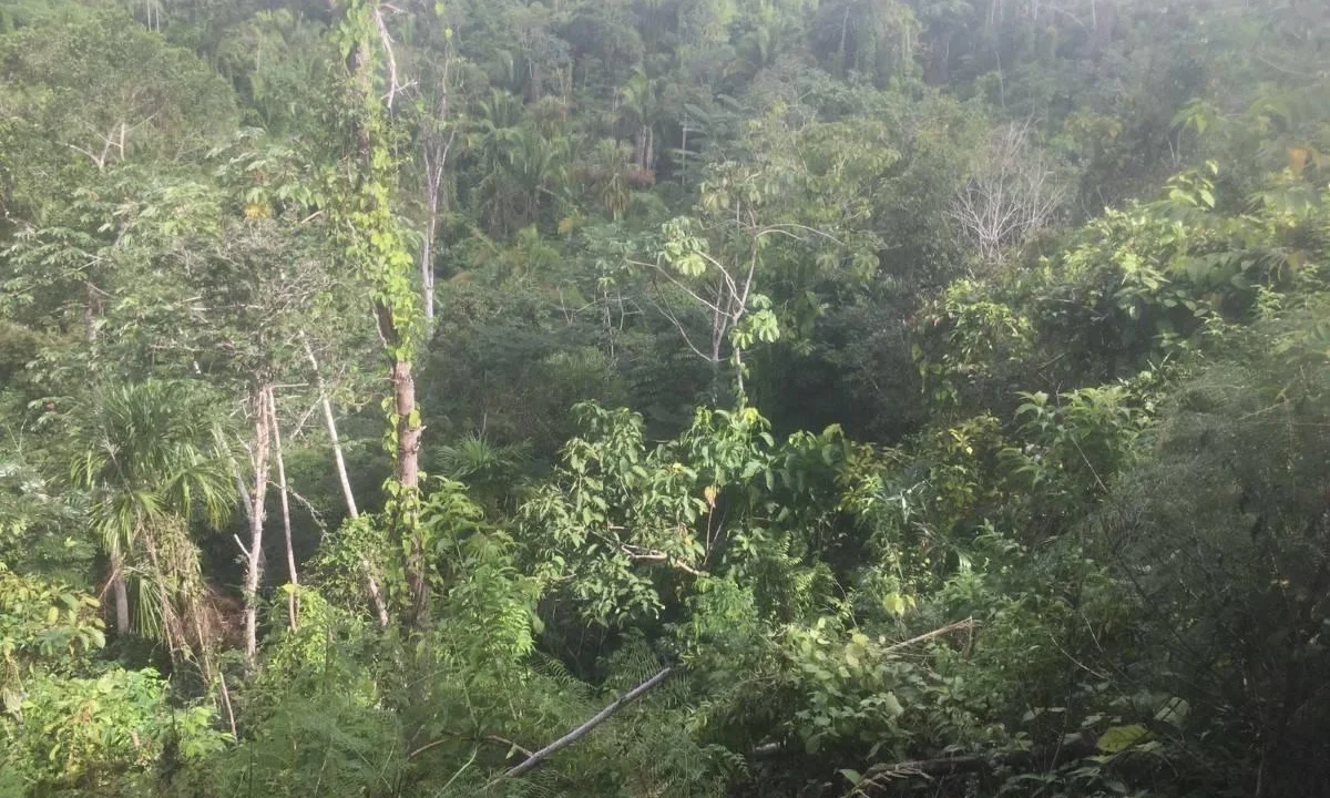 kellerwilliamsbelize-l242307hh-03