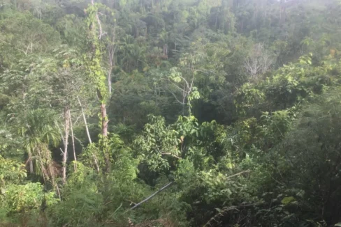 kellerwilliamsbelize-l242307hh-03