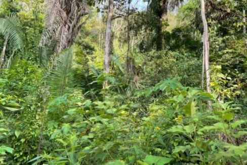 kellerwilliamsbelize-l242307hh-05