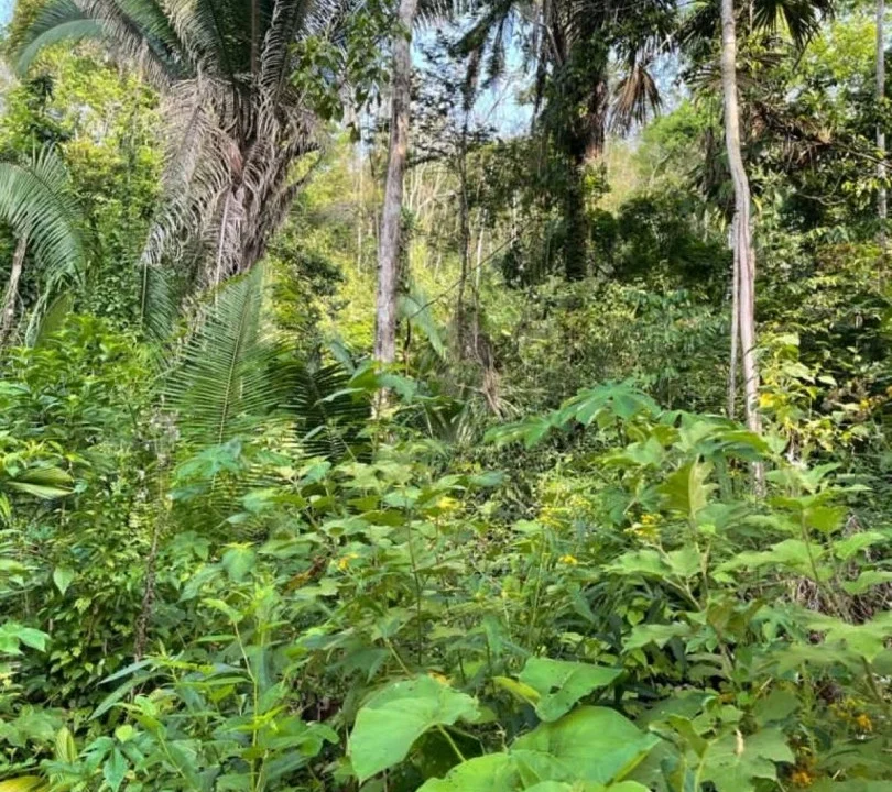 kellerwilliamsbelize-l242307hh-05