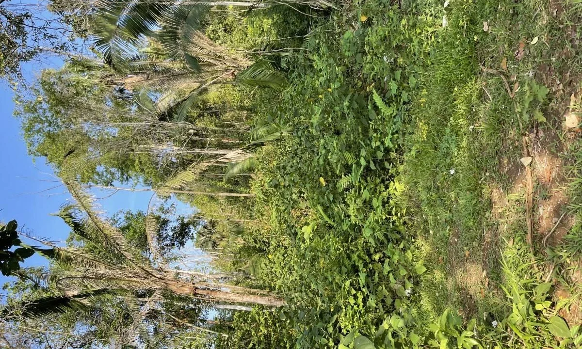 kellerwilliamsbelize-l242307hh-06