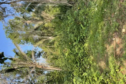 kellerwilliamsbelize-l242307hh-06