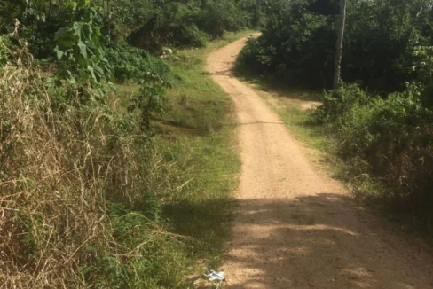 kellerwilliamsbelize-l242307hh-07