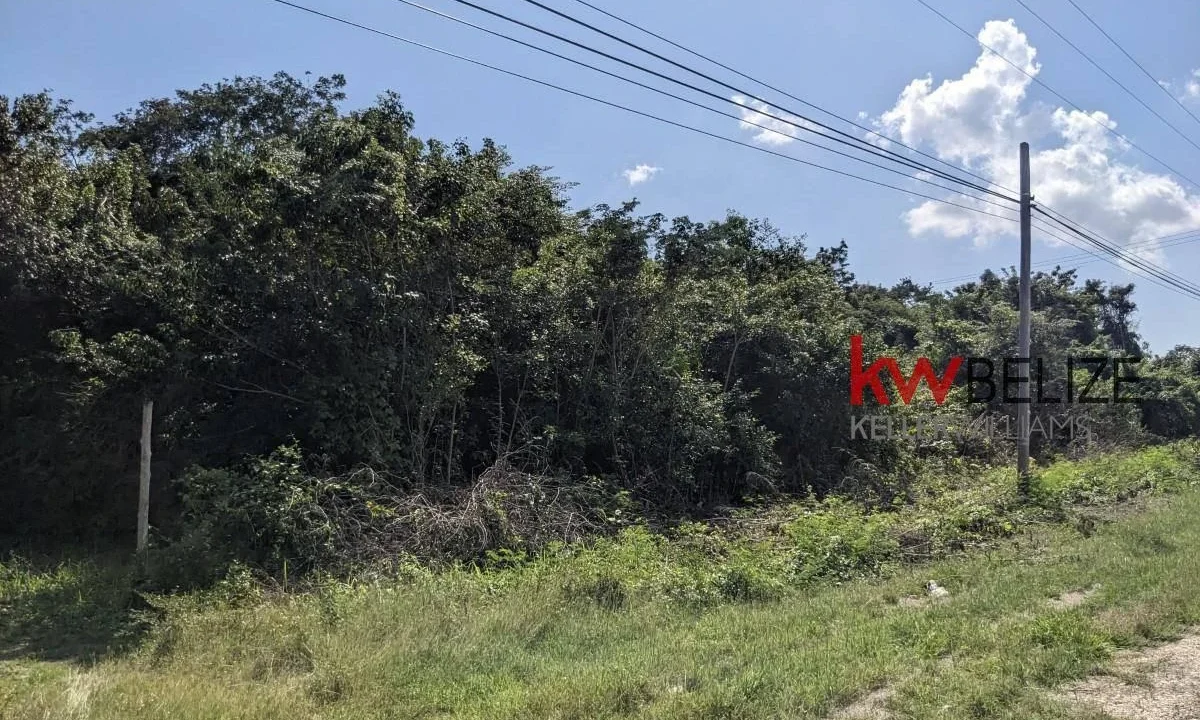 kellerwilliamsbelize-l262312cz-07
