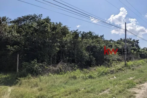 kellerwilliamsbelize-l262312cz-07