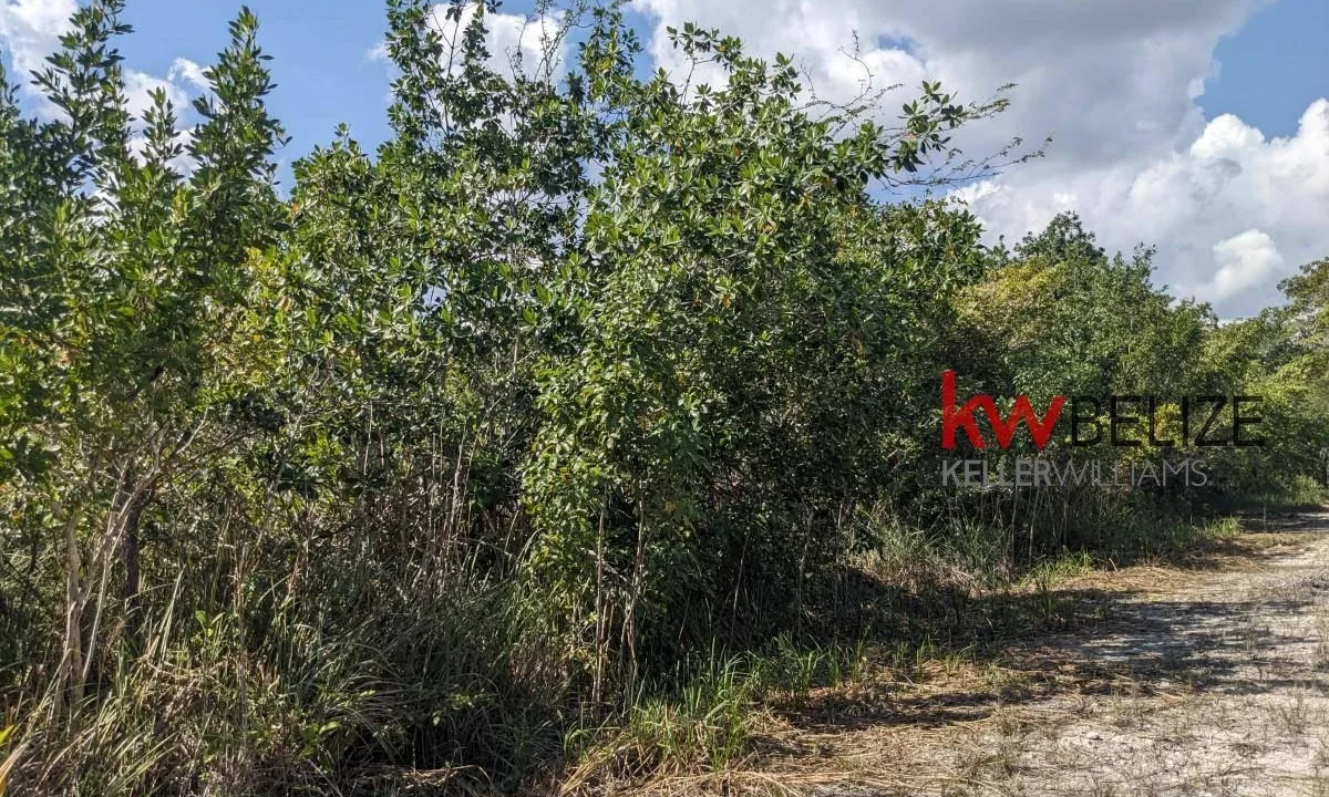 kellerwilliamsbelize-l262312cz-09