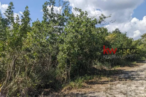 kellerwilliamsbelize-l262312cz-09