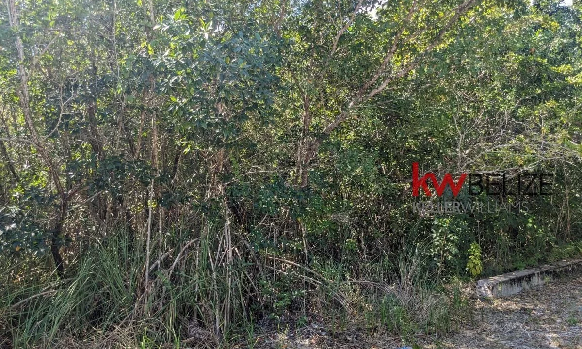 kellerwilliamsbelize-l262312cz-10