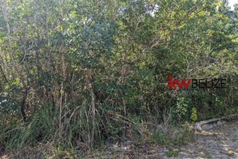 kellerwilliamsbelize-l262312cz-10