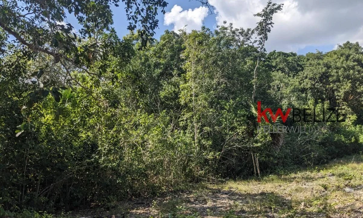 kellerwilliamsbelize-l262312cz-11