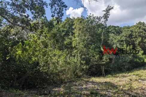 kellerwilliamsbelize-l262312cz-11