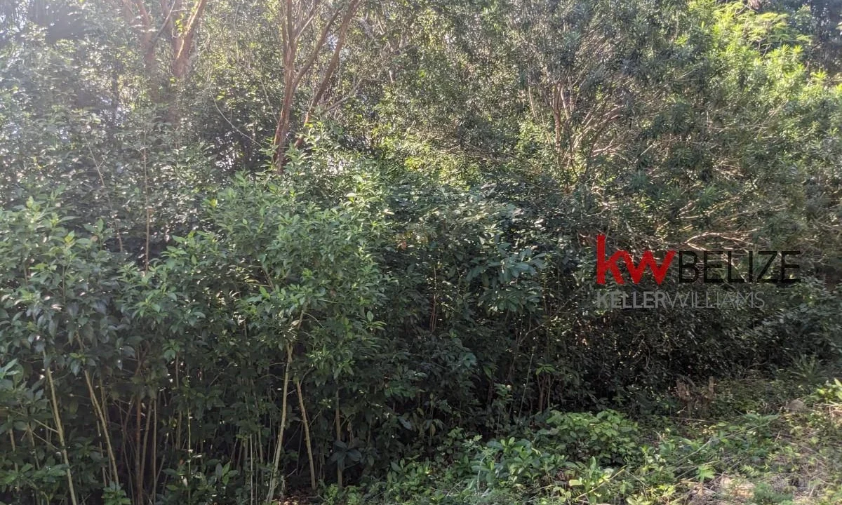 kellerwilliamsbelize-l262312cz-12