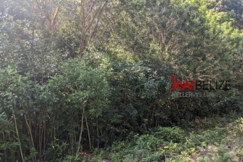 kellerwilliamsbelize-l262312cz-12