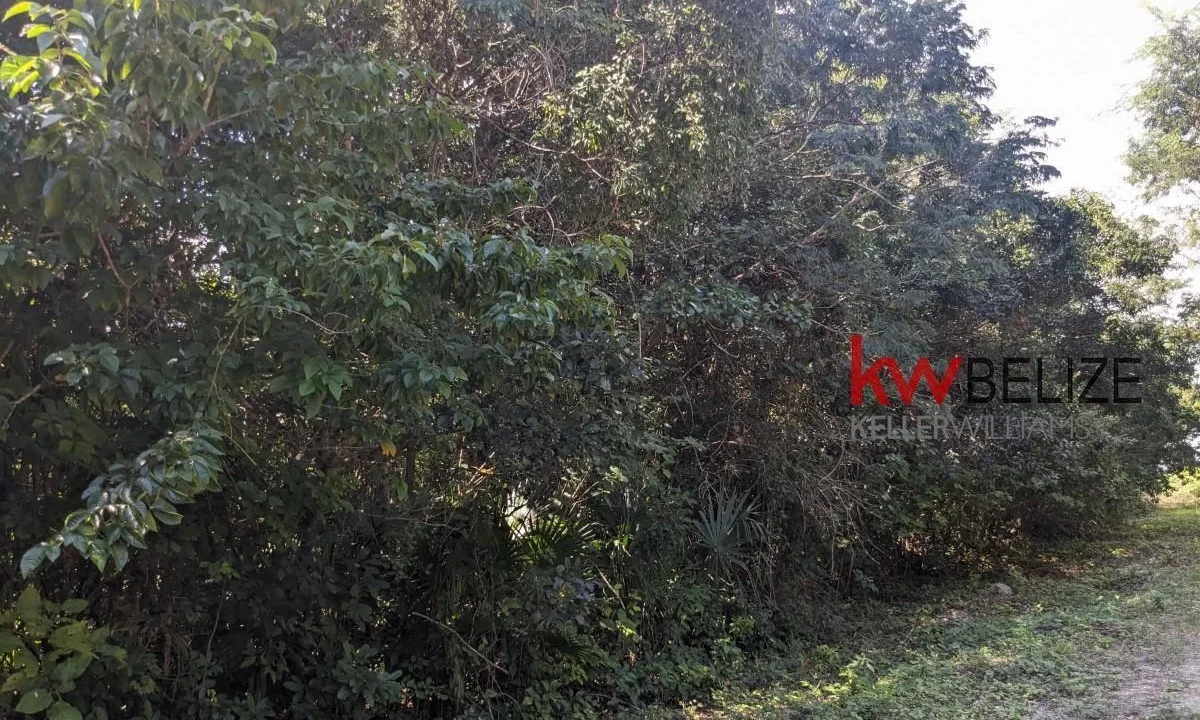 kellerwilliamsbelize-l262312cz-13