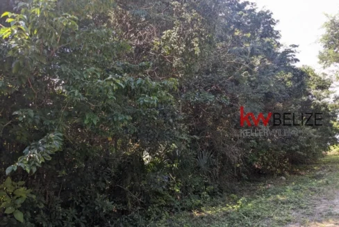 kellerwilliamsbelize-l262312cz-13