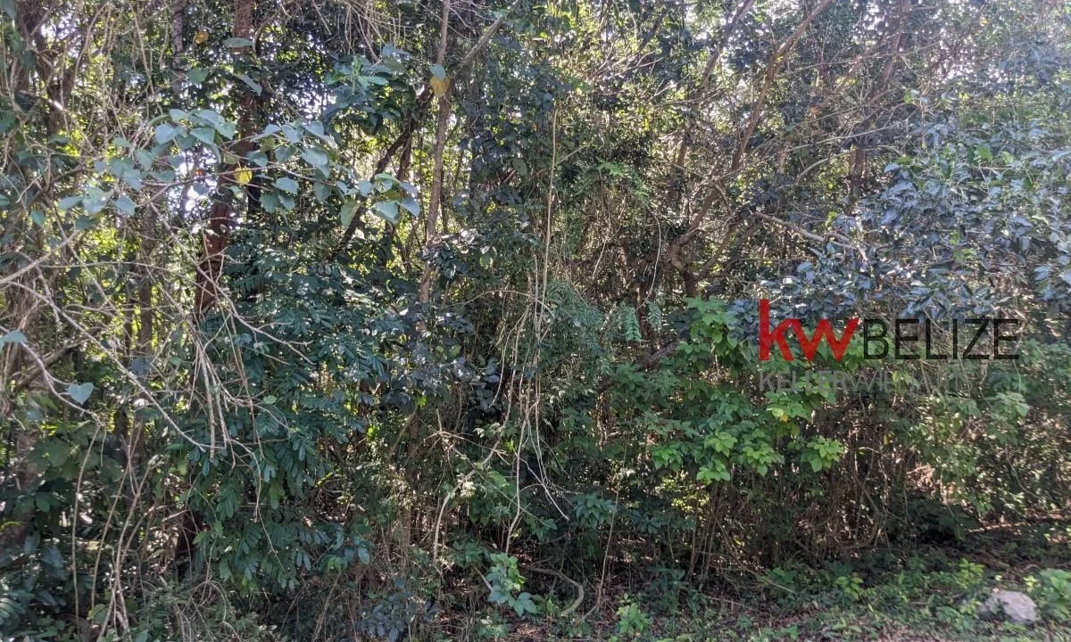 kellerwilliamsbelize-l262312cz-14