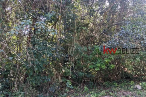 kellerwilliamsbelize-l262312cz-14