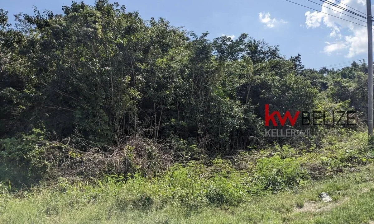 kellerwilliamsbelize-l262312cz-15