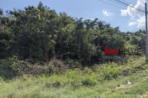 kellerwilliamsbelize-l262312cz-15
