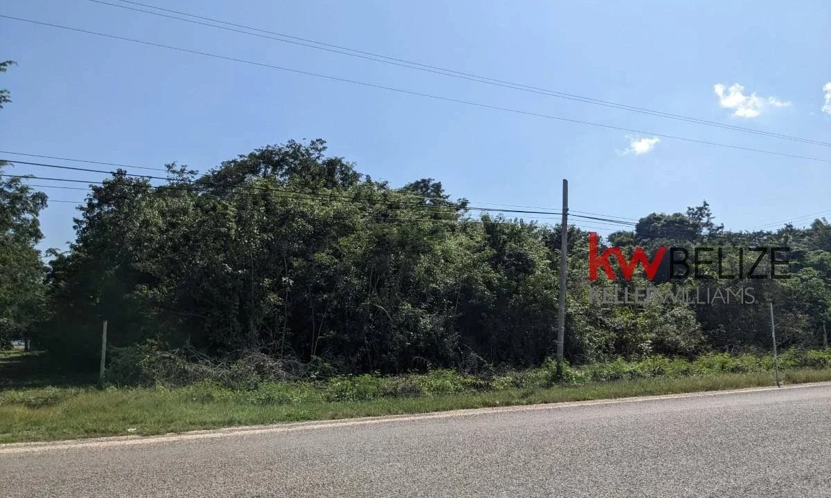 kellerwilliamsbelize-l262312cz-18