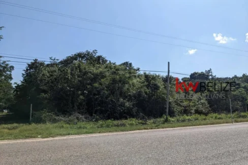 kellerwilliamsbelize-l262312cz-18