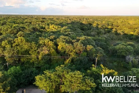 kellerwilliamsbelize-l292509cz-10