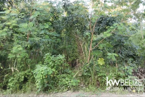 kellerwilliamsbelize-l292509cz-12