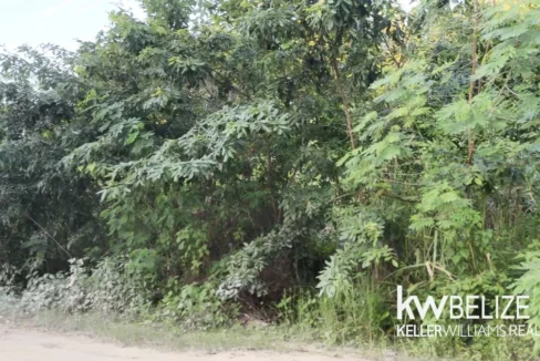 kellerwilliamsbelize-l292509cz-13