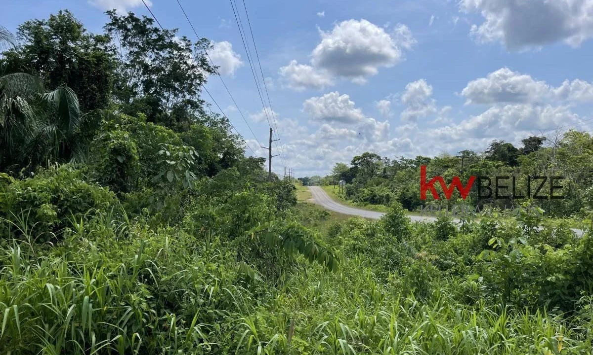 kellerwilliamsbelize-l3001-01