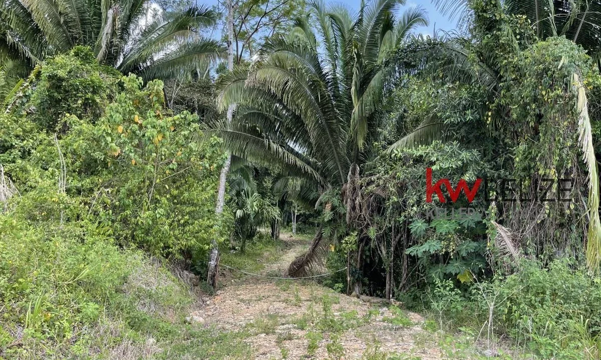 kellerwilliamsbelize-l3001-05