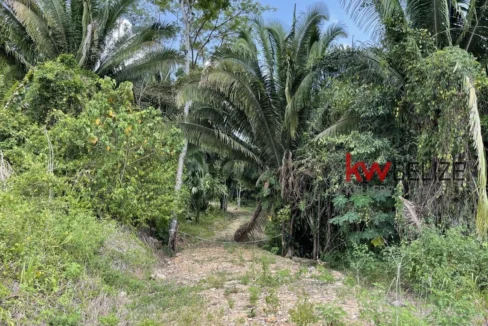 kellerwilliamsbelize-l3001-05