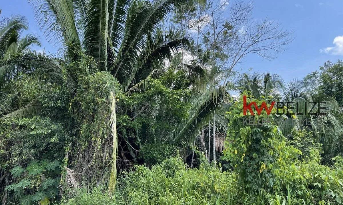 kellerwilliamsbelize-l3001-06