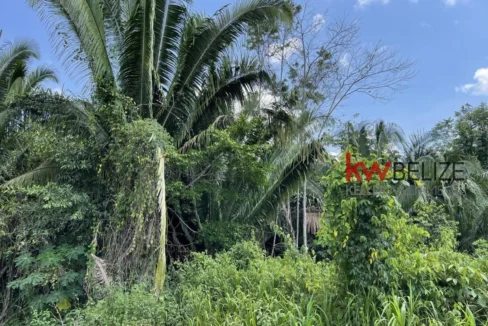 kellerwilliamsbelize-l3001-06