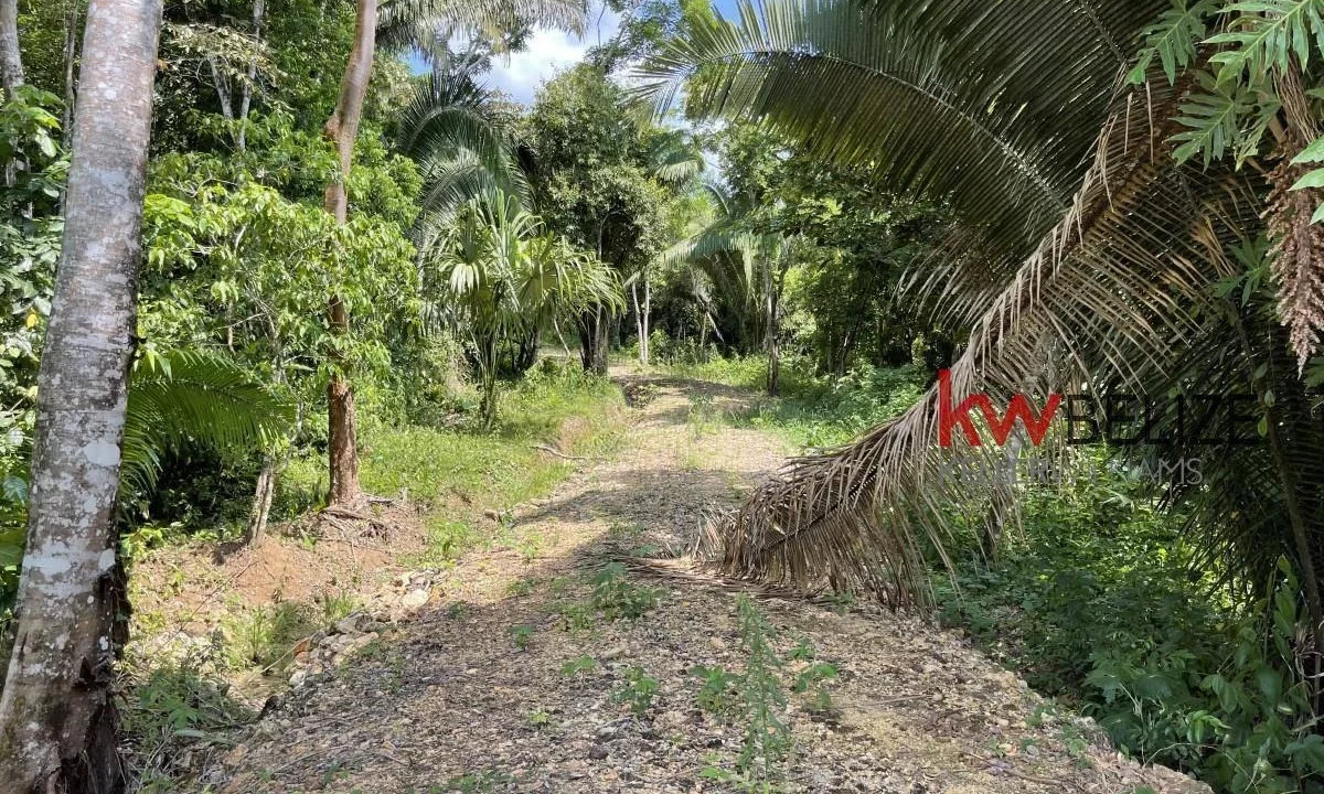 kellerwilliamsbelize-l3001-07