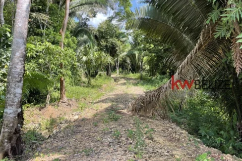 kellerwilliamsbelize-l3001-07