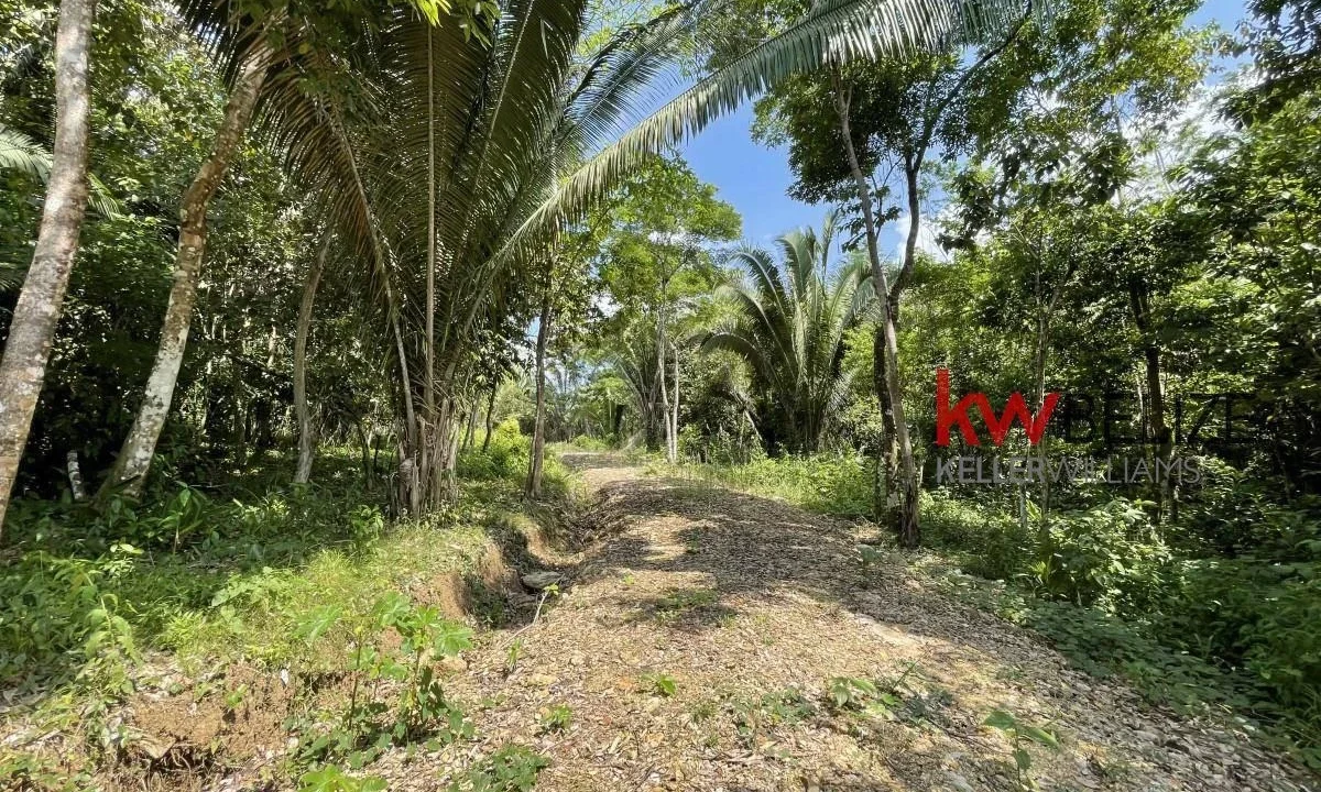 kellerwilliamsbelize-l3001-08