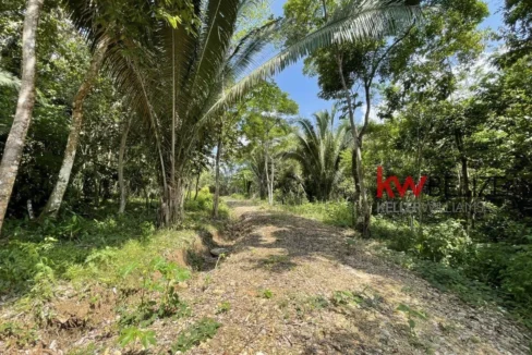 kellerwilliamsbelize-l3001-08
