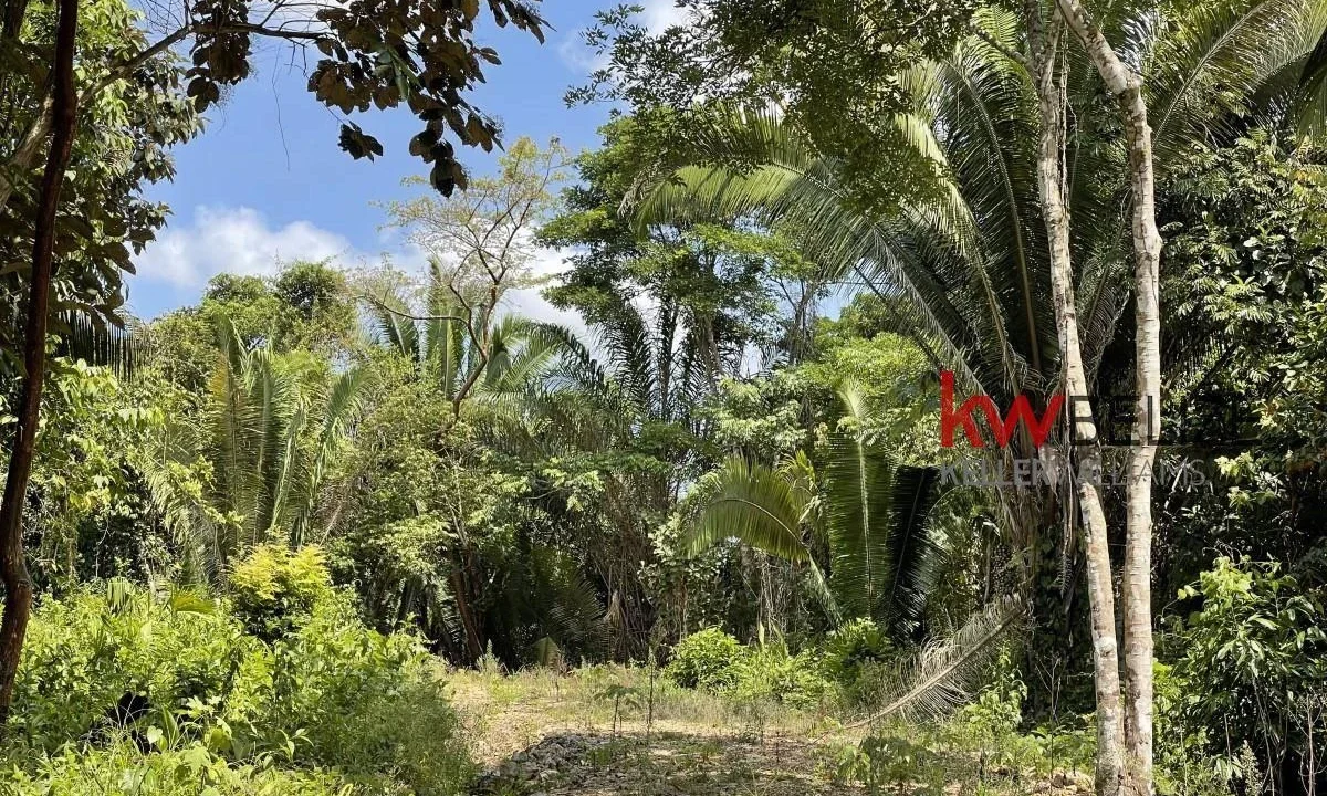 kellerwilliamsbelize-l3001-09