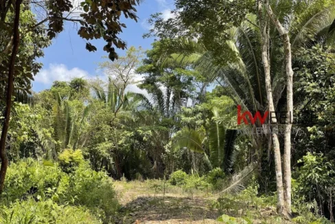 kellerwilliamsbelize-l3001-09
